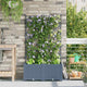 Vidaxl plantenbak 2 st lichtgrijs 80 x 40 x 143 cm pp