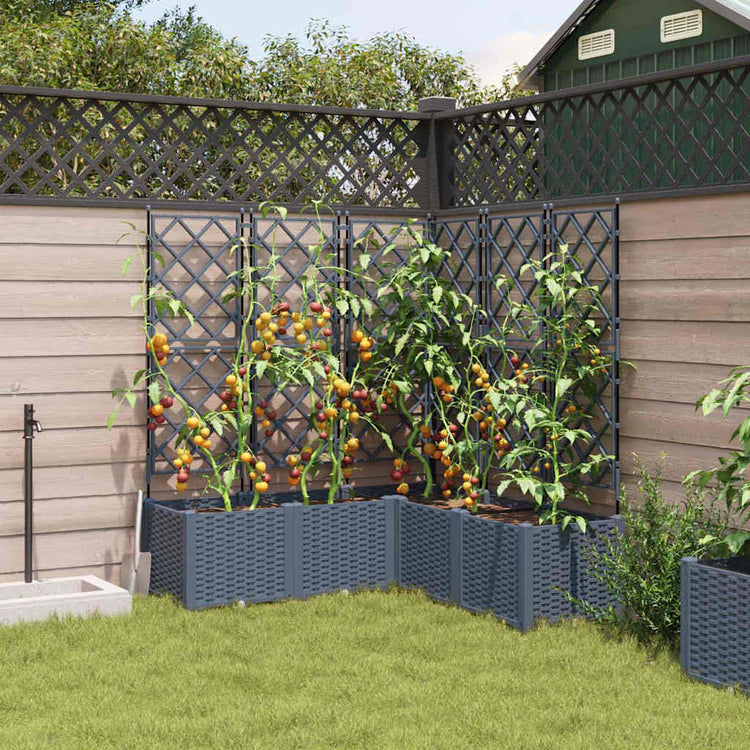 Vidaxl plantenbak 5 st lichtgrijs 120 x 120 x 143 cm pp