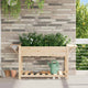 Vidaxl plantenbak beige 155 x 59 x 76,5 cm massief vurenhout