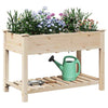 Vidaxl tuin bloempot beige 115 x 59 x 76,5 cm massief vurenhout
