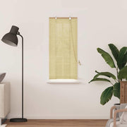 Vidaxl rolgordijn natuur 60 x 160 cm bamboe - afbeelding 3