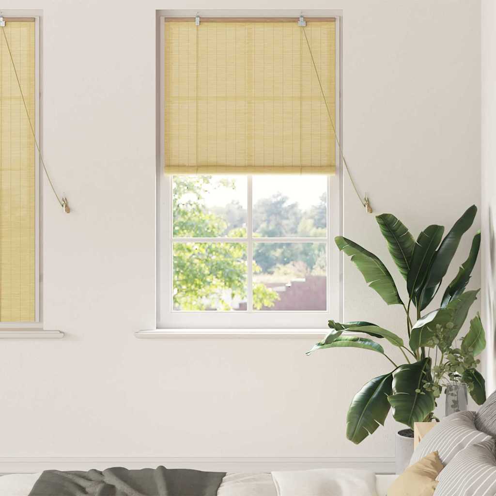 Vidaxl rolgordijn natuur 90 x 160 cm bamboe