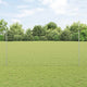 Vidaxl euro-hek met palen 10 x 1,6 m gegalvaniseerd staal mesh