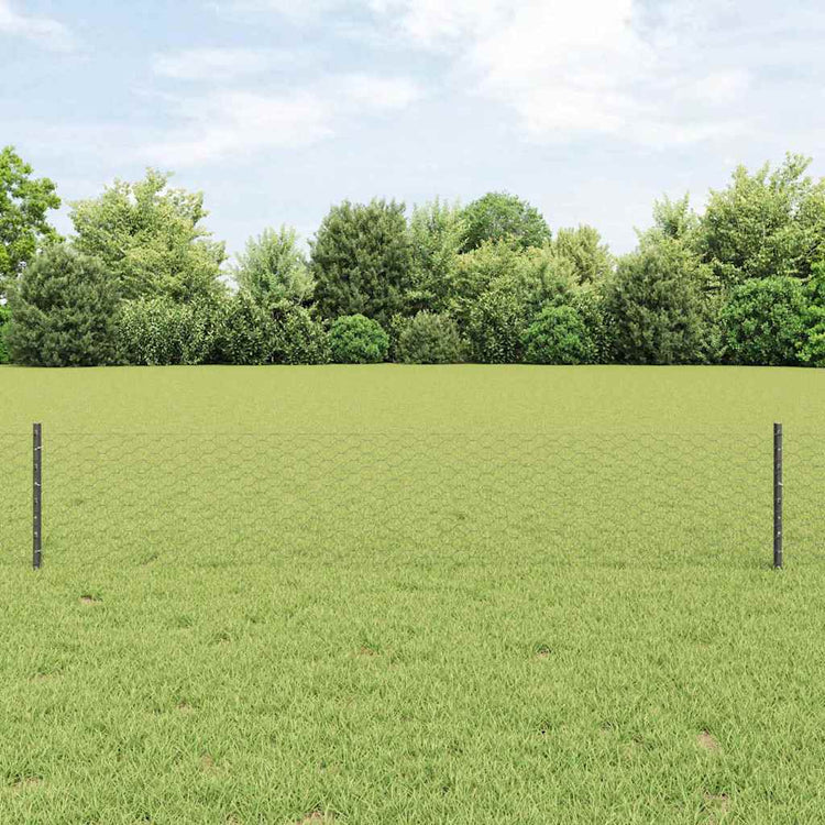 Vidaxl zeshoekig gaasgek met palen 10 x 0,4 m pvc-coated staal grijs