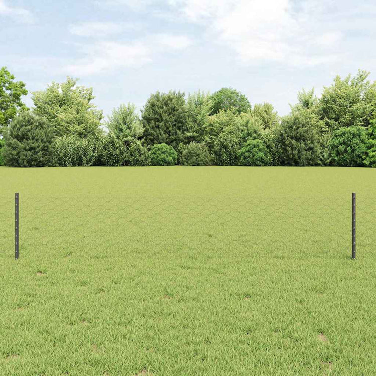 Vidaxl zeshoekig gaasgek met palen 10 x 0,4 m pvc-coated staal grijs