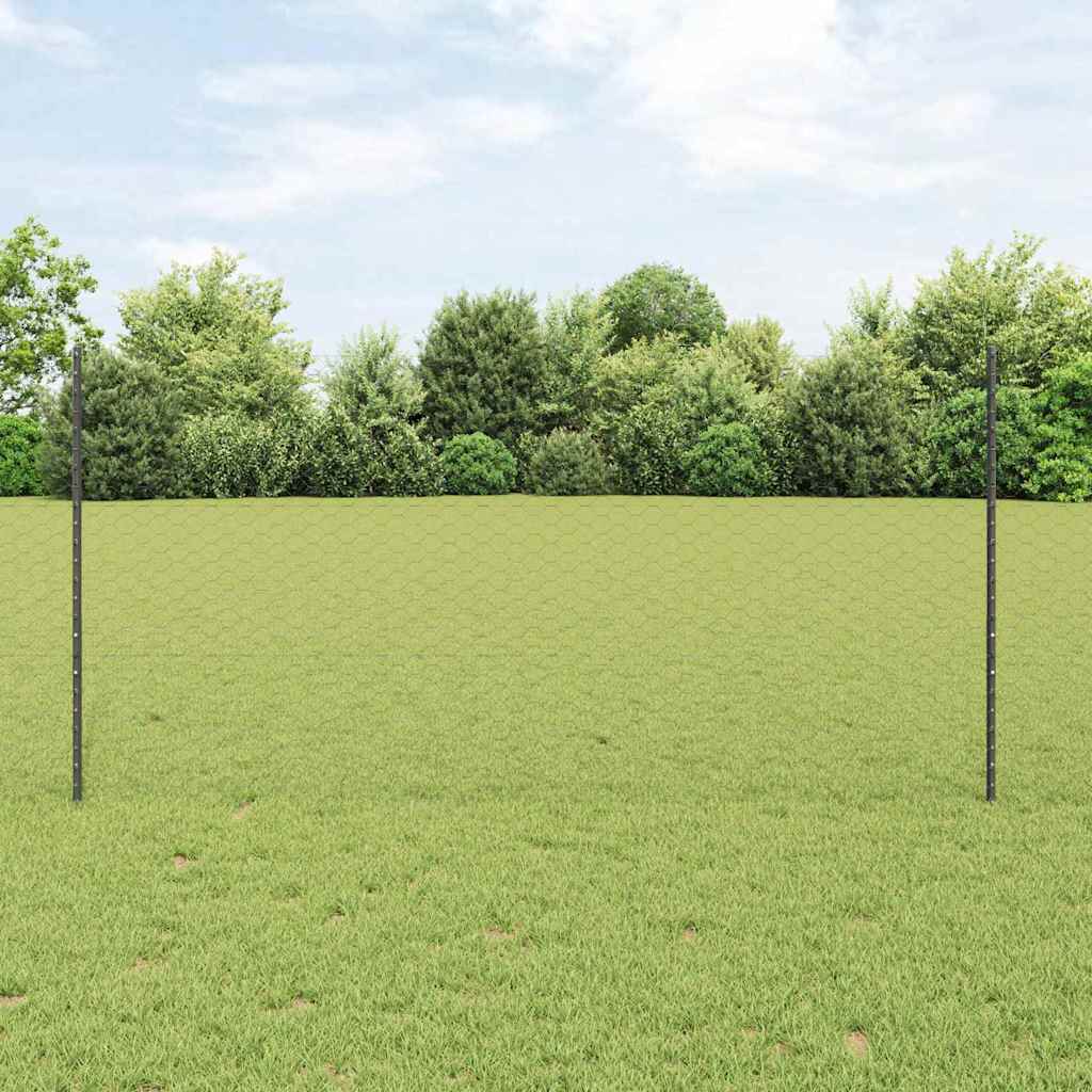 Vidaxl zeshoekig gaasgek met palen 10 x 1,2 m pvc-coated staal grijs