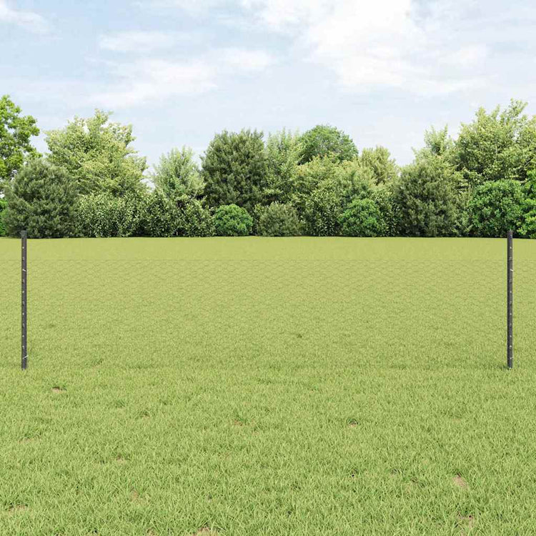 Vidaxl hek met paal grijs 0,5 x 25 m staal