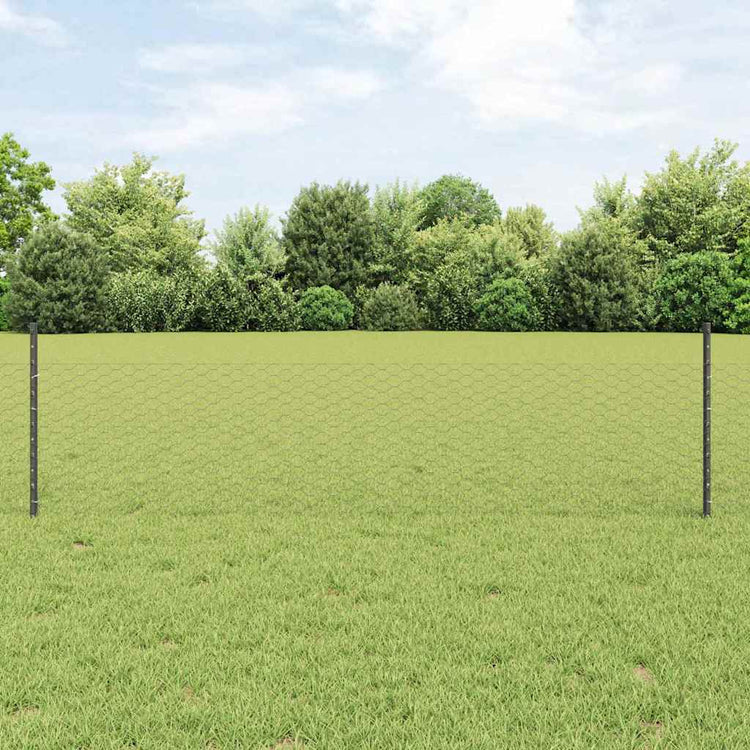 Vidaxl zeshoekig gaasgek met palen 25 x 0,5 m pvc-coated staal grijs