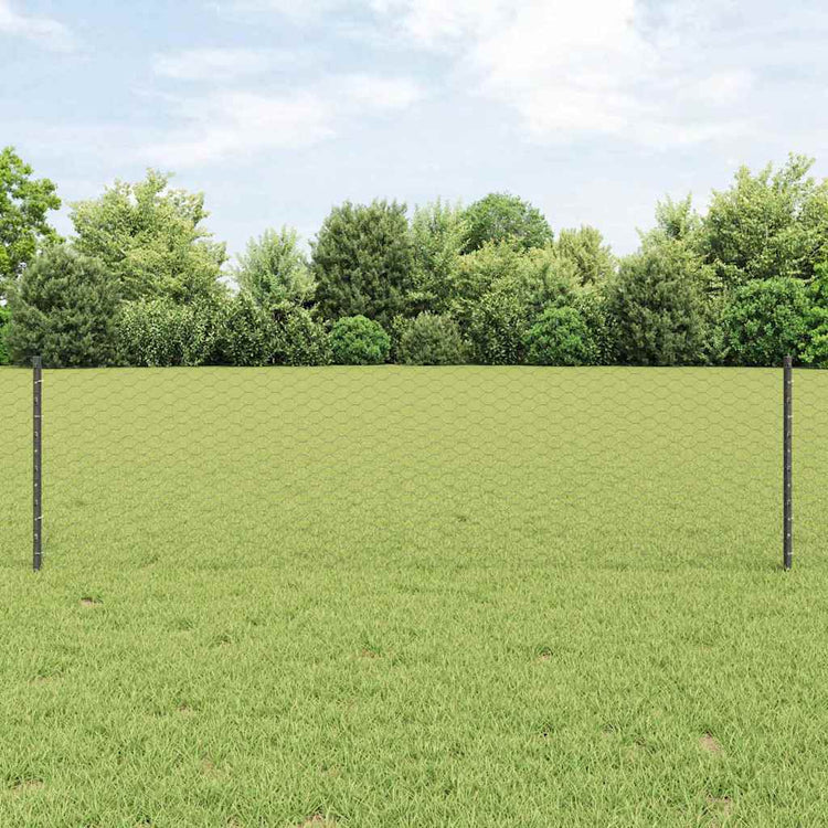 Vidaxl zeshoekig gaasgek met palen 25 x 0,6 m pvc-coated staal grijs