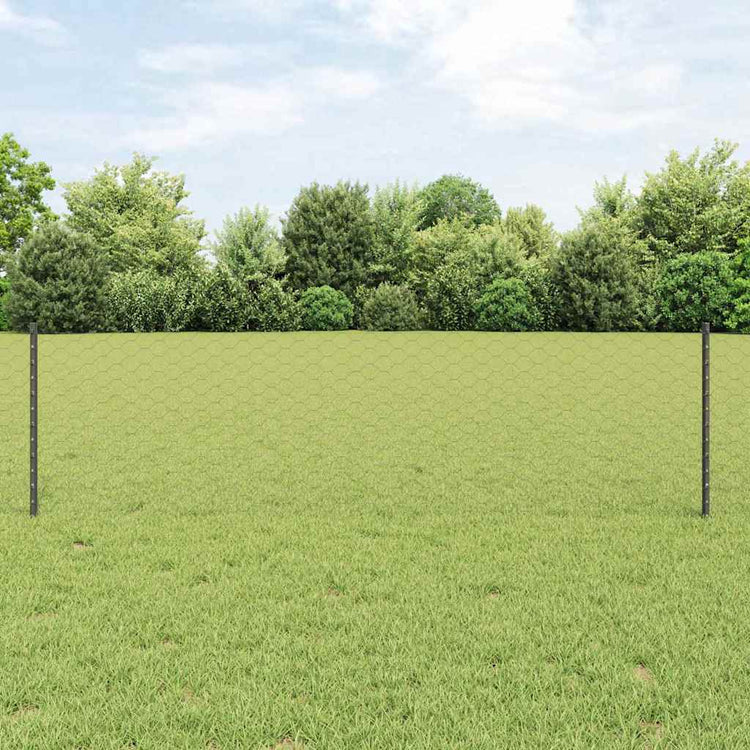 Vidaxl zeshoekig gaasgek met palen 25 x 0,6 m pvc-coated staal grijs