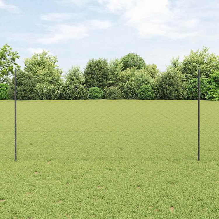 Vidaxl zeshoekig gaasgek met palen 25 x 1,2 m pvc-coated staal grijs