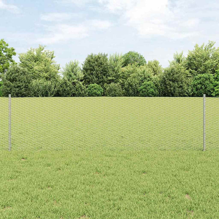 Vidaxl zeshoekig gaasgek met palen 10 x 0,6 m gegalvaniseerd staal