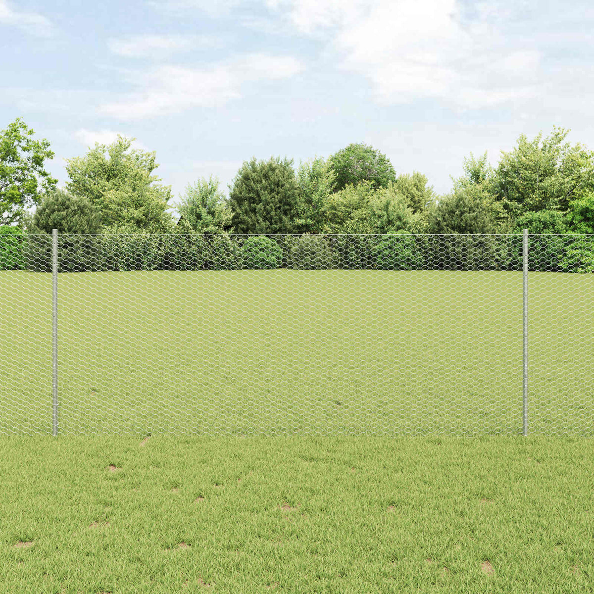 Vidaxl zeshoekig gaasgek met palen 25 x 1 m gegalvaniseerd staal mesh
