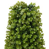 Vidaxl eucalyptus gras toren groen 27 x 27 x 90 cm kunststof