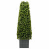 Vidaxl eucalyptus gras toren groen 27 x 27 x 90 cm kunststof