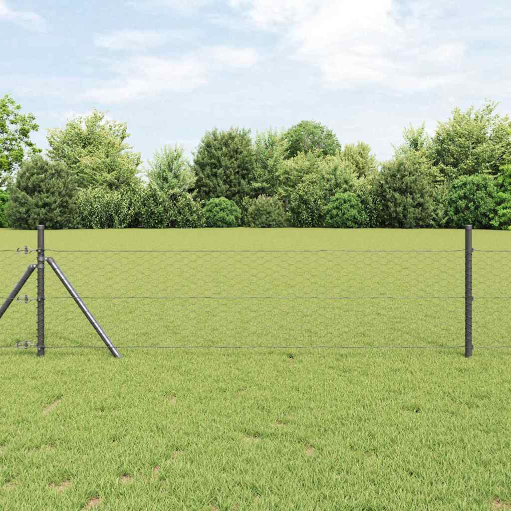 Vidaxl hexagon hek grijs 0,8 x 100 m pvc