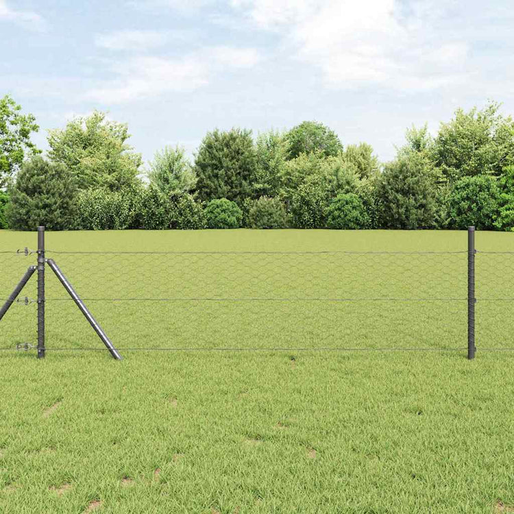 Vidaxl hexagon hek grijs 0,8 x 100 m pvc