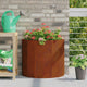 Vidaxl plantenbak roestig 60 x 30 x 50 cm weervast staal