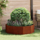 Vidaxl plantenbak roestig 120 x 120 x 35 cm weervast staal