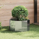 Vidaxl plantenbak zilver 60 x 60 x 35 cm gegalvaniseerd staal