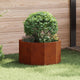 Vidaxl plantenbak roestig 60 x 60 x 35 cm weervast staal