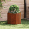Vidaxl plantenbak roestig 60 x 60 x 50 cm cortenstaal