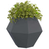 Vidaxl plantenbak 2 pcs antraciet 100 x 100 x 80 cm staal
