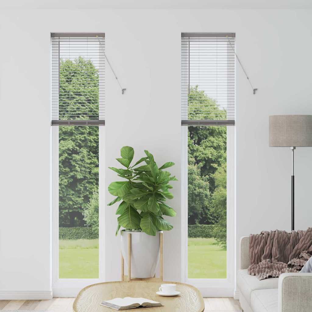 Vidaxl venetiaanse jaloezieën zilver 220 x 50 cm aluminium