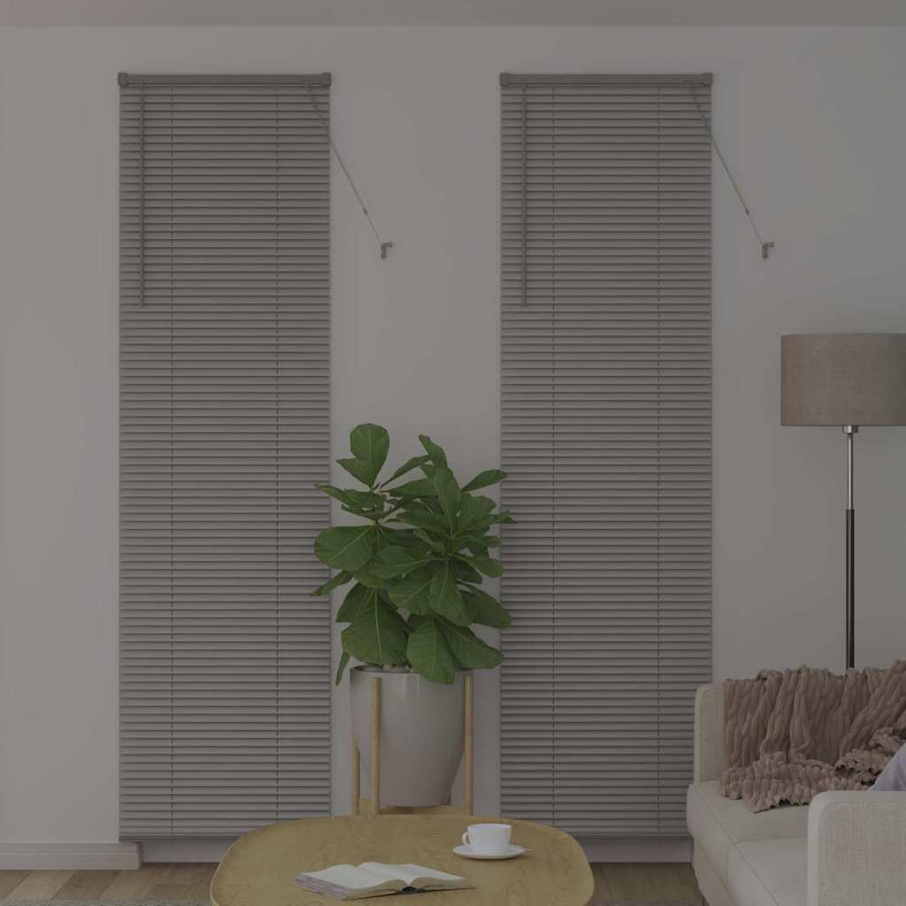 Vidaxl venetiaanse jaloezieën zilver 220 x 60 cm aluminium