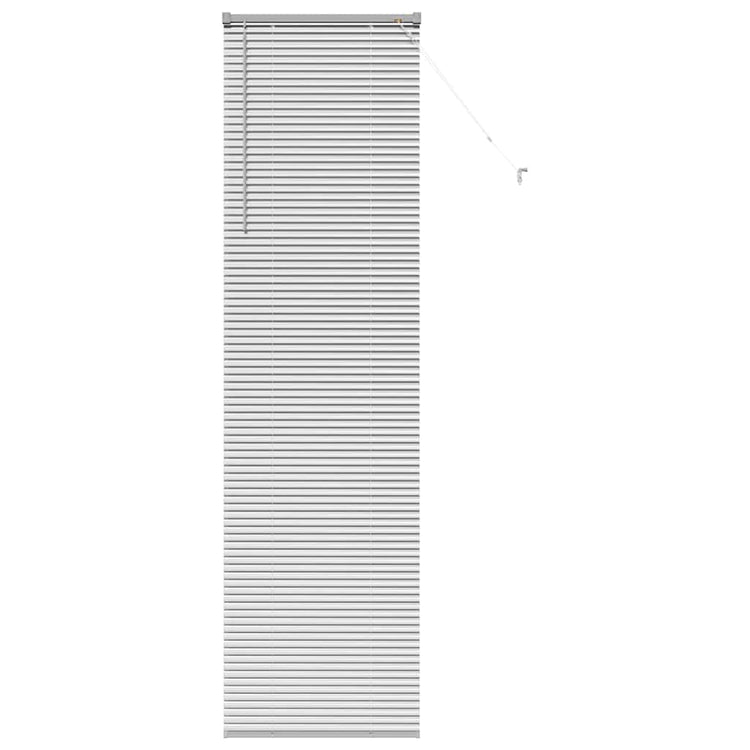 Vidaxl venetiaanse jaloezieën zilver 220 x 65 cm aluminium