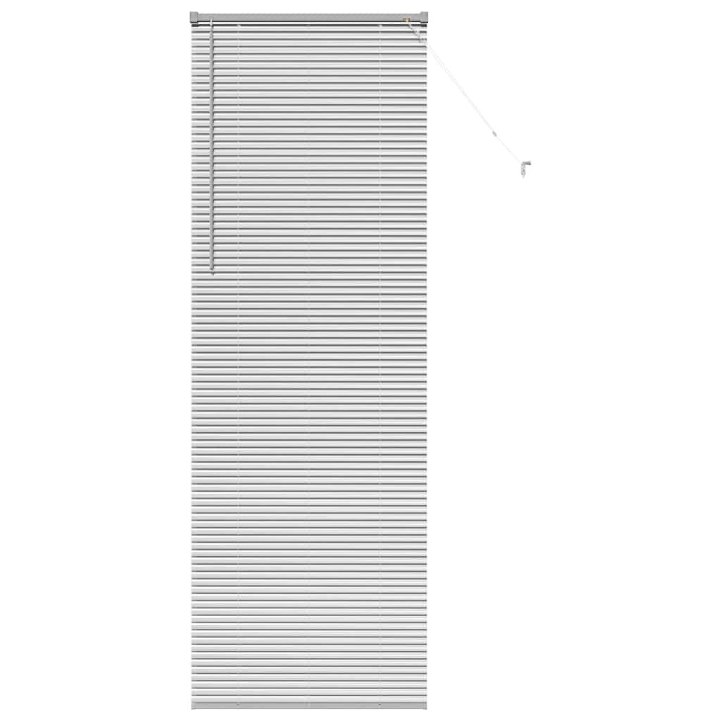 Vidaxl venetiaanse jaloezieën zilver 220 x 70 cm aluminium