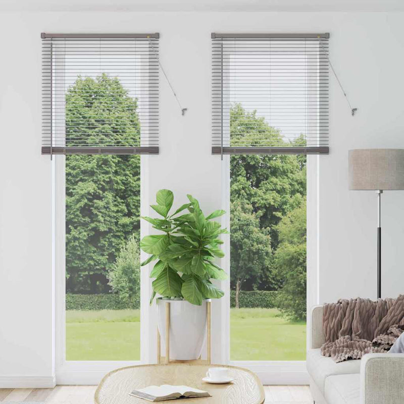 Vidaxl venetiaanse jaloezieën zilver 220 x 80 cm aluminium