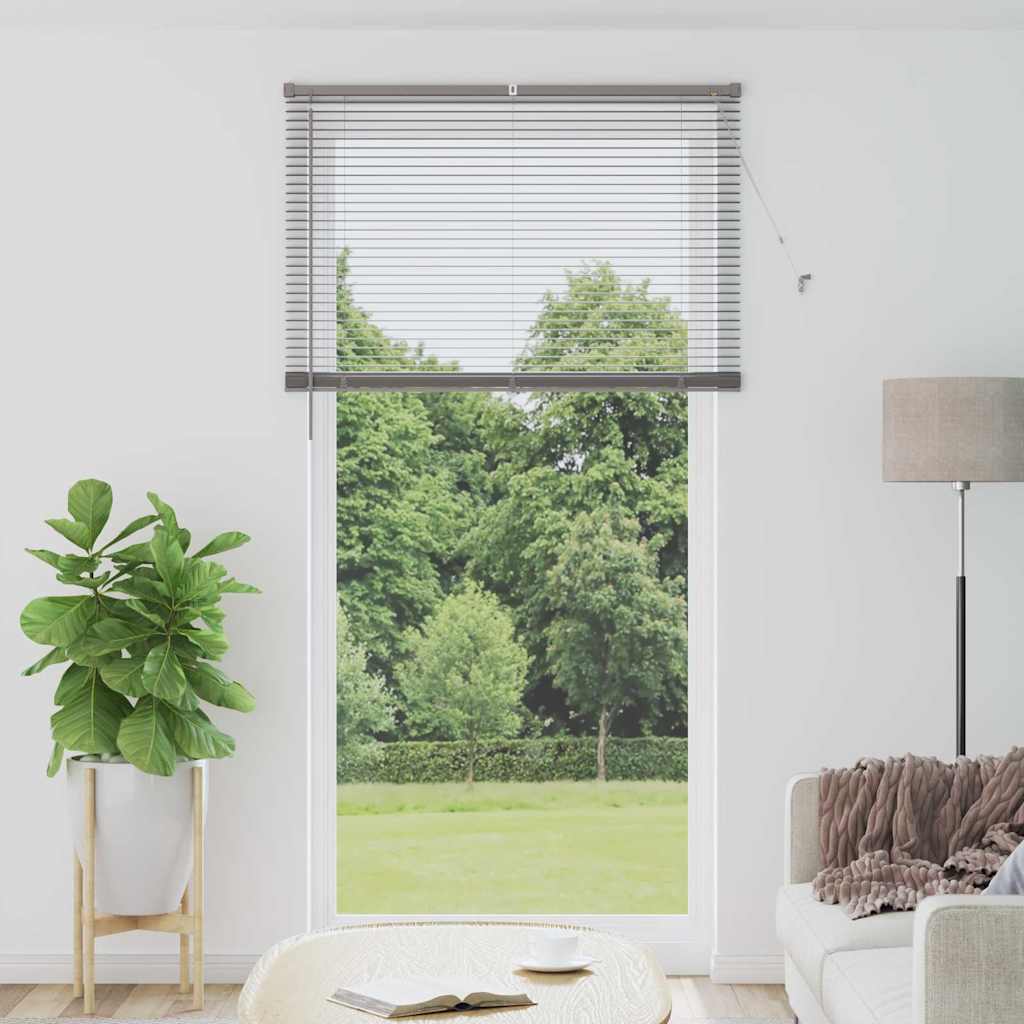 Vidaxl venetiaanse jaloezieën zilver 220 x 120 cm aluminium