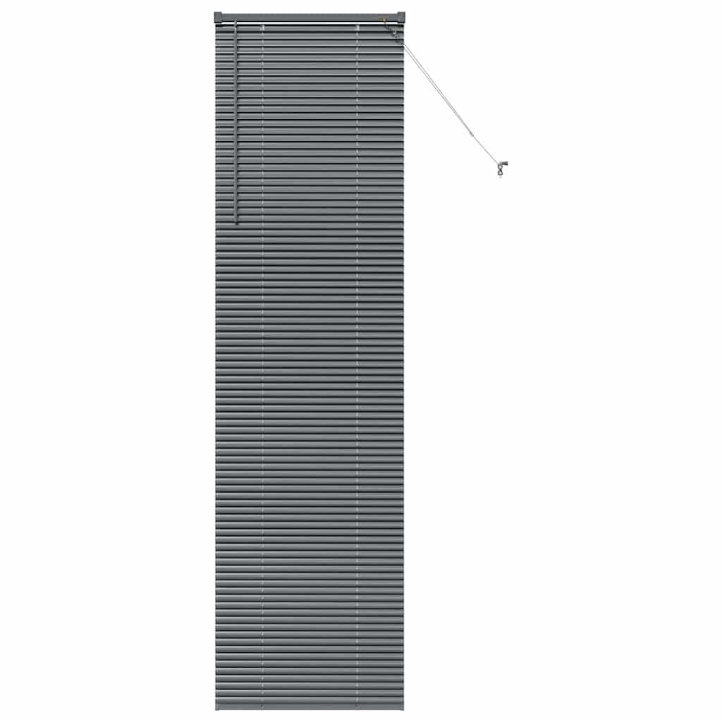 Vidaxl venetiaanse jaloezieën donkergrijs 220 x 60 cm aluminium
