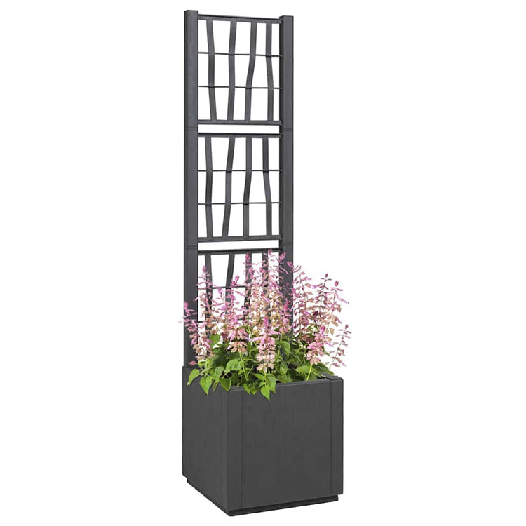 Vidaxl tuindruppel met trellis donkergrijs 36 x 36 x 140 cm pp