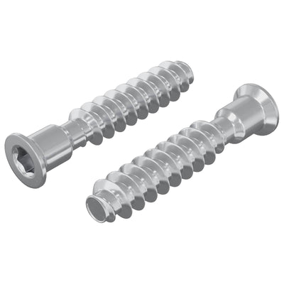 Vidaxl hoofdkapbout 2 pcs zilver m7 x 40 mm staal