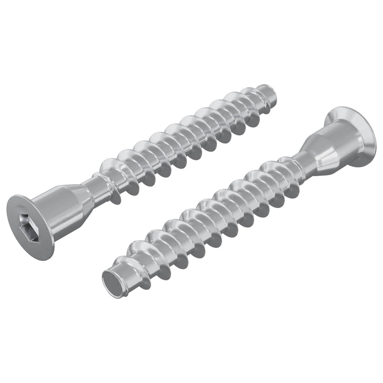Vidaxl confirmatschroeven 2 st zilver ø7 x 50 mm metaal