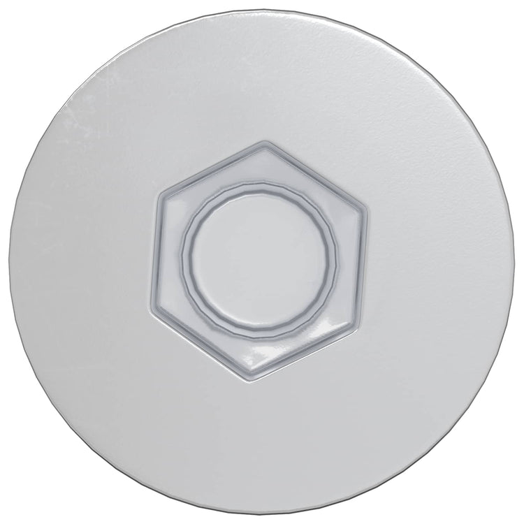 Vidaxl confirmatschroeven 2 st zilver ø7 x 50 mm metaal