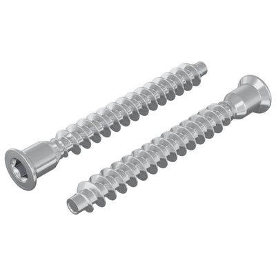 Vidaxl bevestigingsschroeven 2 pcs zilver ø7 x 58 mm metaal