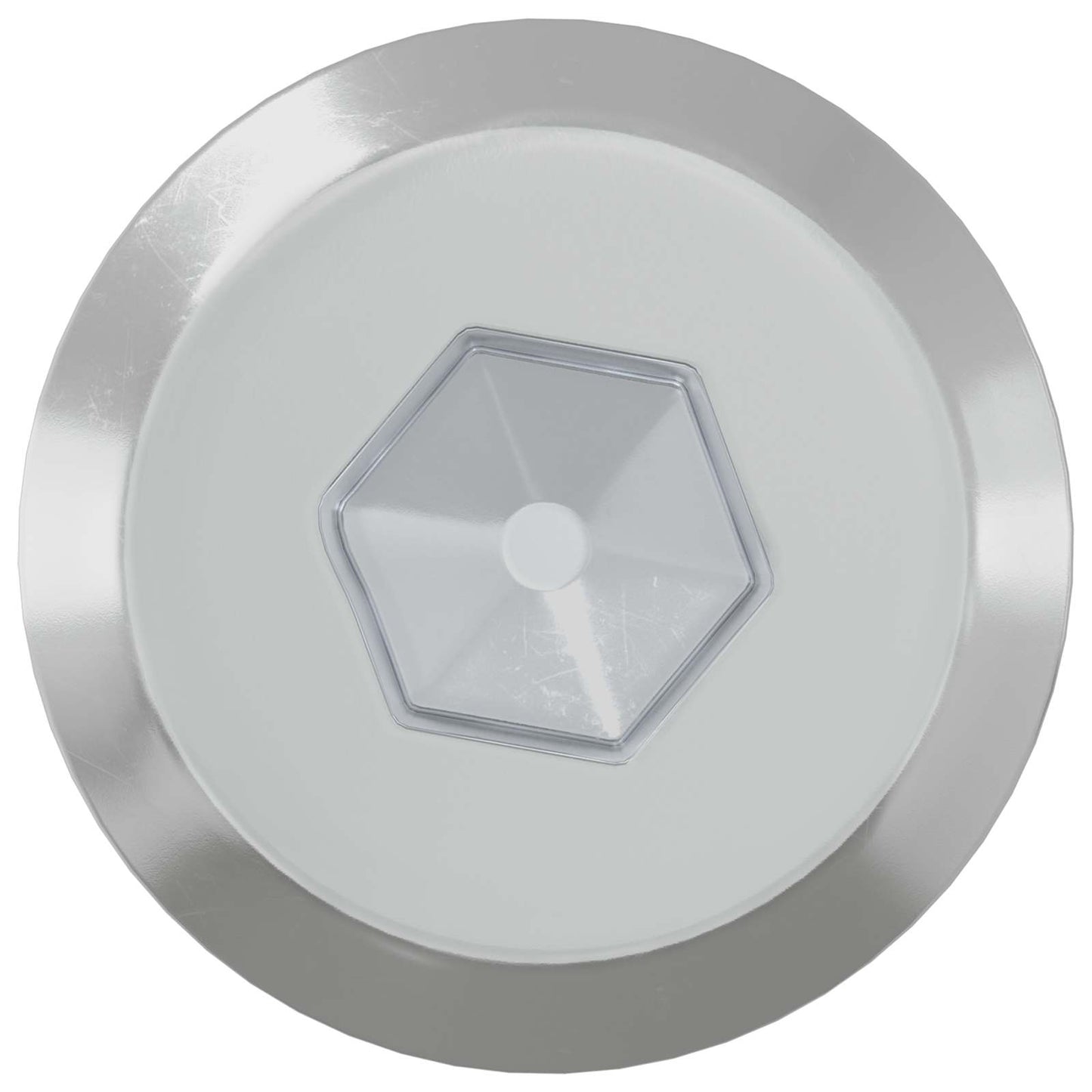 Vidaxl meubelschroeven 12 pcs zilver m6 x 60 mm staal