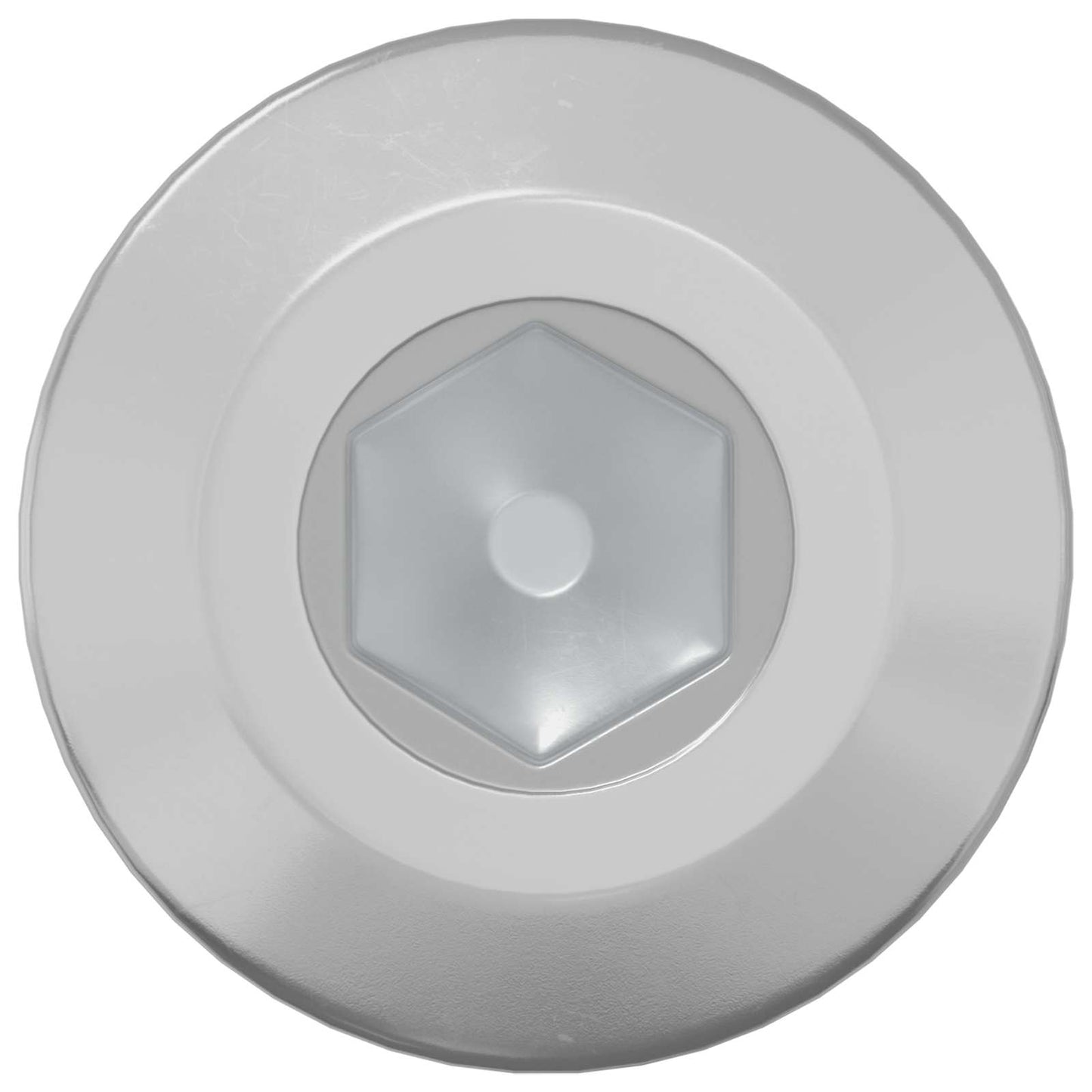 Vidaxl bout 12 pcs zilver m6 x 85 mm staal