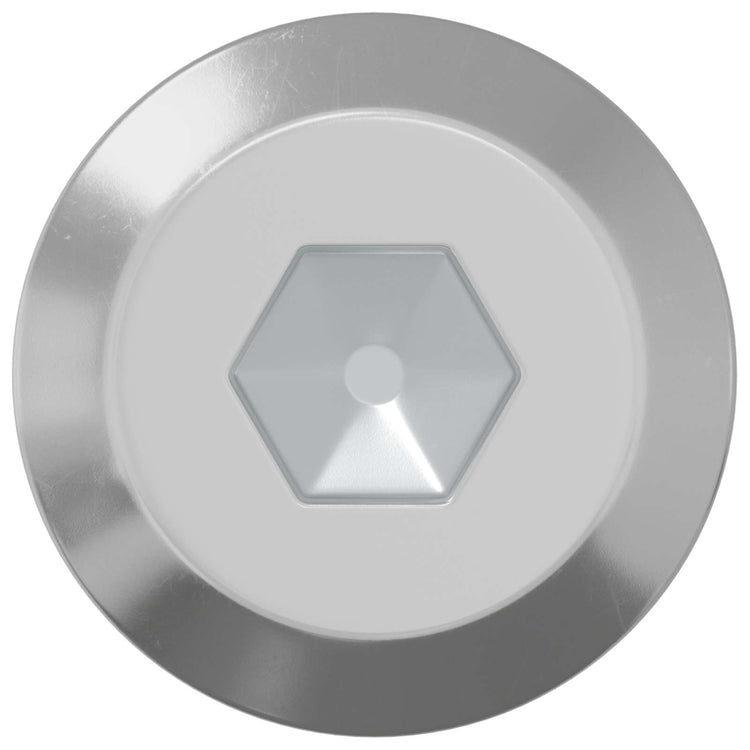 Vidaxl bout 2 st zilver m6 x 100 mm staal