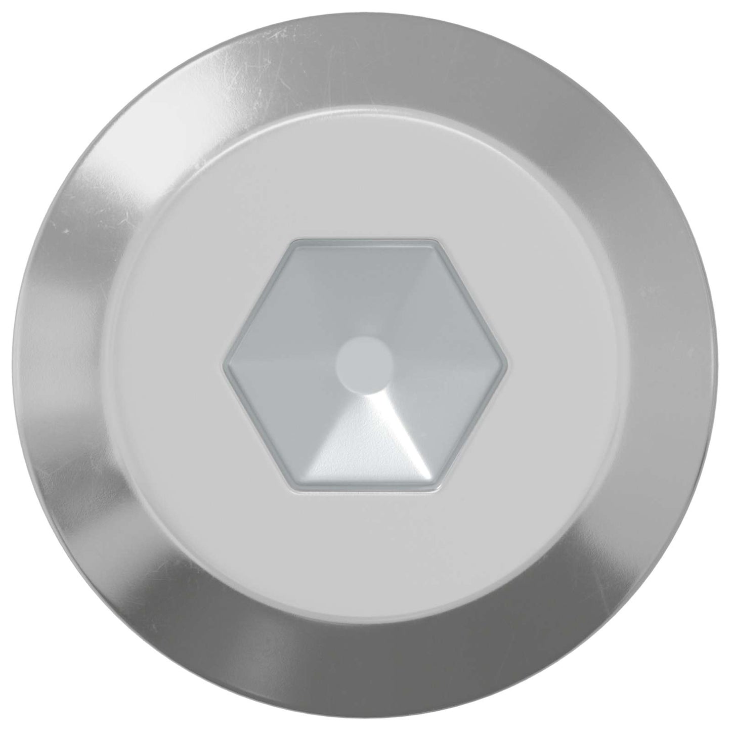 Vidaxl bout 12 pcs zilver m6 x 100 mm staal