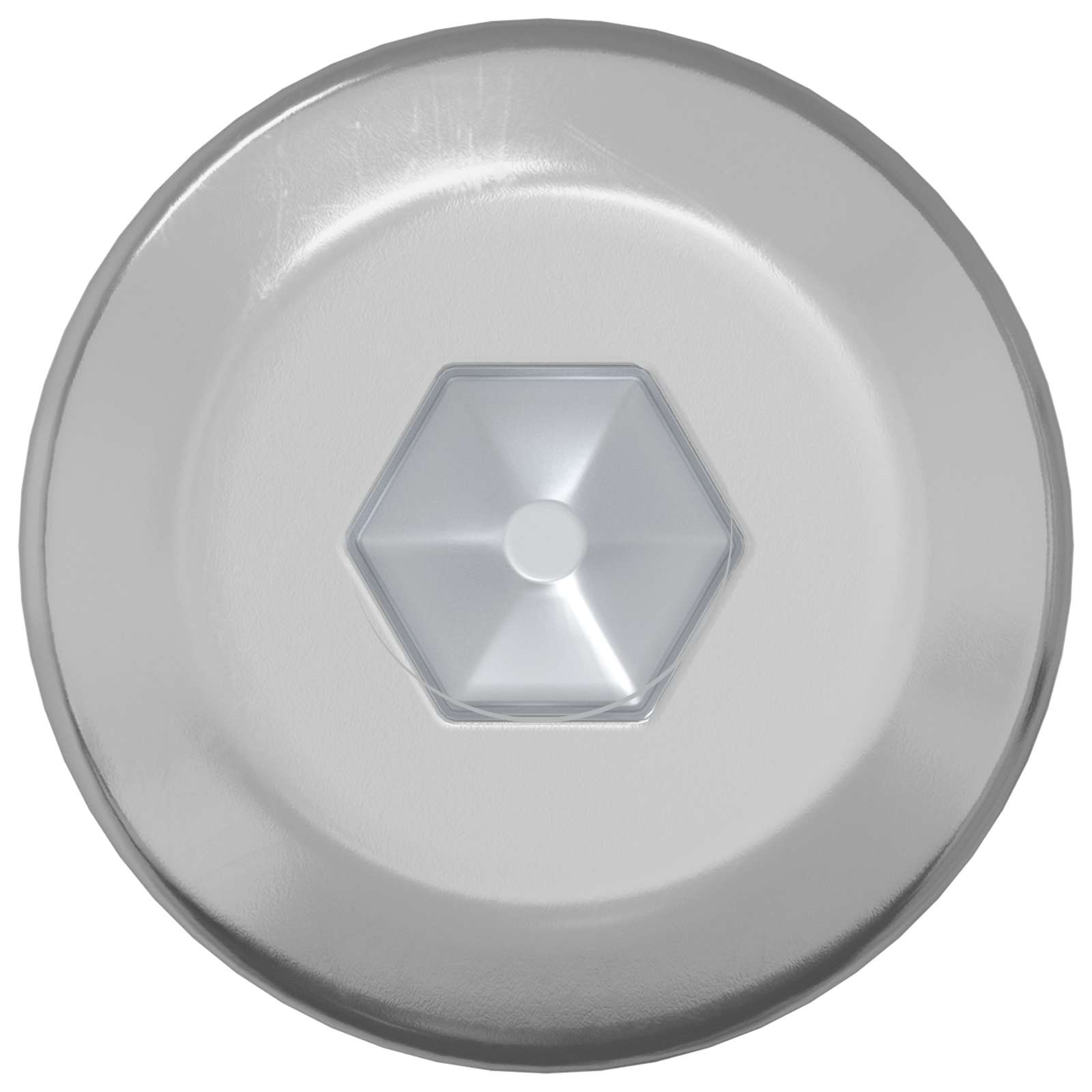 Vidaxl bout 12 pcs zilver m6 x 120 mm staal