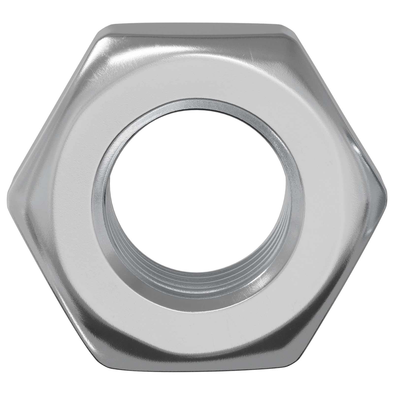Vidaxl zeshoekige moeren 2 pcs zilver m8 ijzer