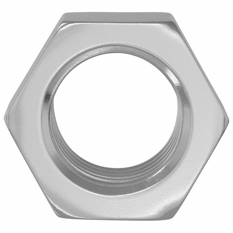 Vidaxl zeshoekige moer 2 st zilver m6 metaal