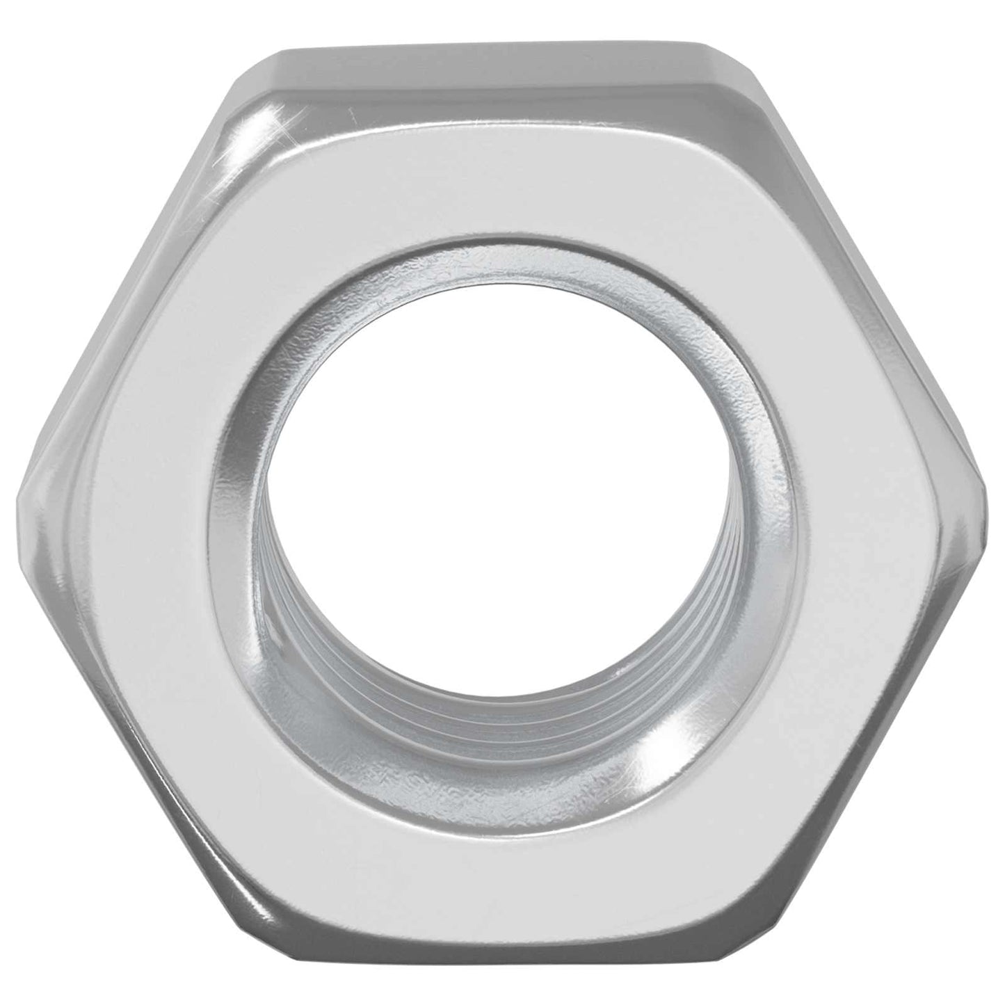 Vidaxl eikelnuts 3913 pcs zilver ijzer