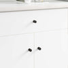Vidaxl kastknoppen 12 pcs zwart m4 x 12 mm ijzer