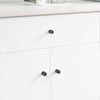 Vidaxl kastknop 12 pcs zwart 18 x 23 mm ijzer