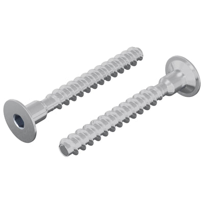 Vidaxl bout 2 pcs verzinkt 5 x 40 mm ijzer
